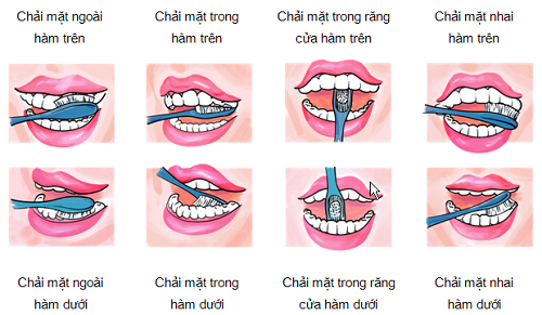 Chải răng đúng cách giúp phòng ngừa bệnh sâu răng 